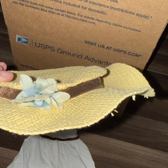 American Girl Julie’s Birthday Hat and Dress Set - Picture 5 of 5